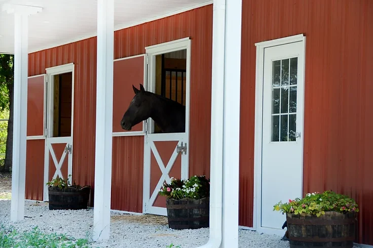 High-quality custom horse stalls designed for durability and safety